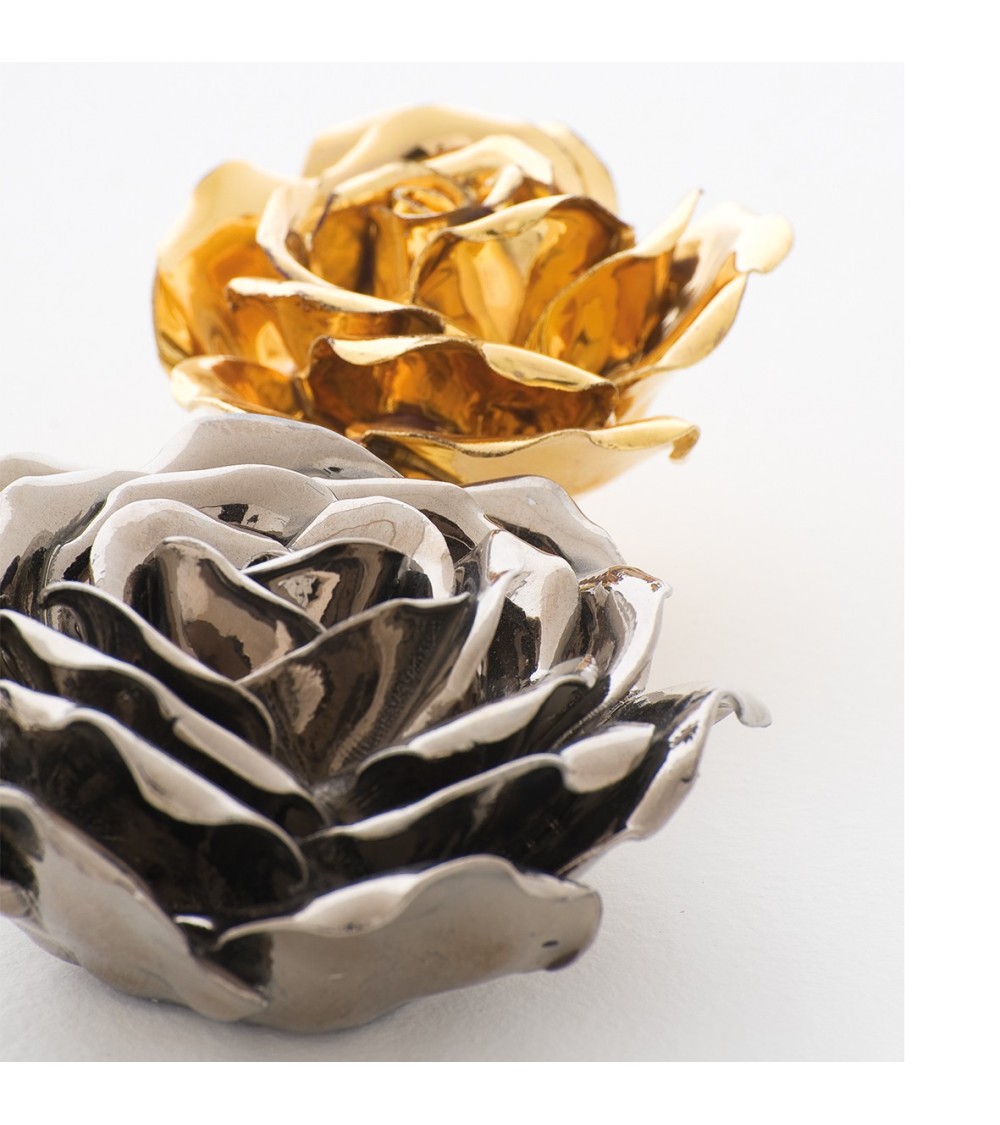 copia de copia de copia de copia de copia de copia de template ADRIANI E ROSSI