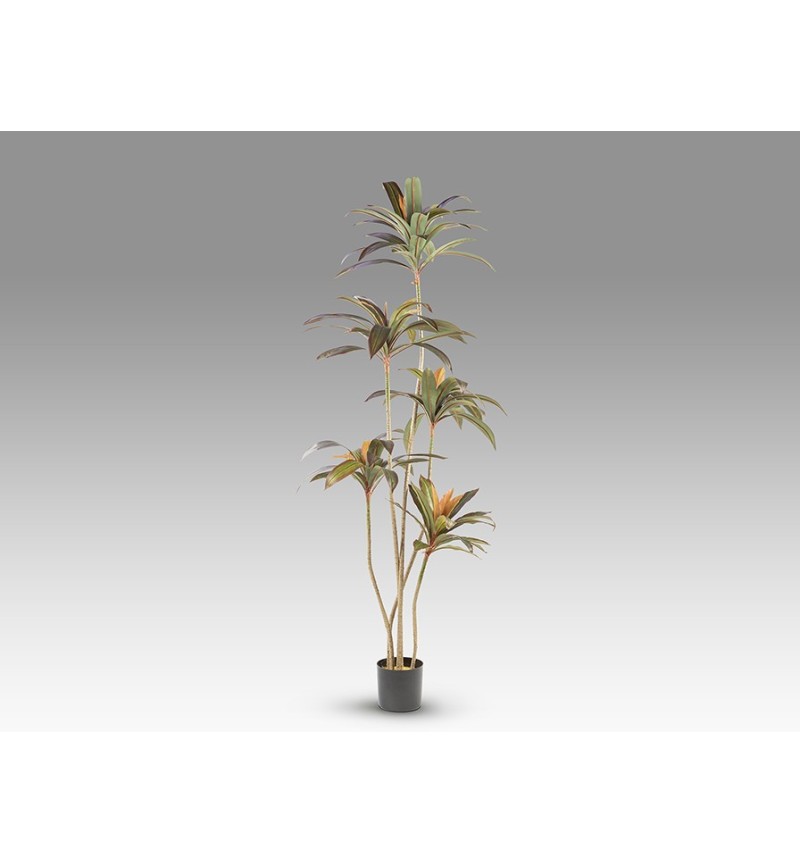 Planta artificial Dracena Roja SCHULLER VALENCIA H220