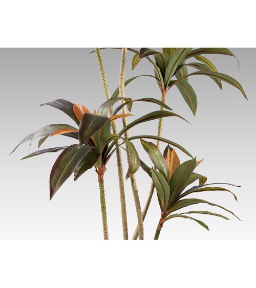 Pianta artificiale Dracena Roja SCHULLER VALENCIA H220