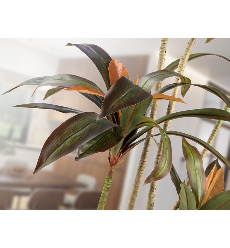 Pianta artificiale Dracena Roja SCHULLER VALENCIA H220