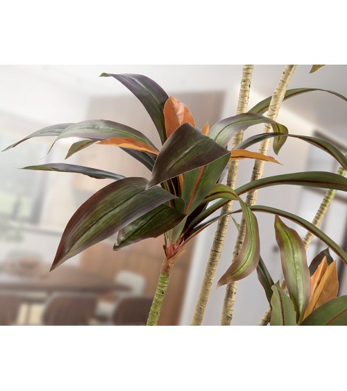 Pianta artificiale Dracena Roja SCHULLER VALENCIA H220