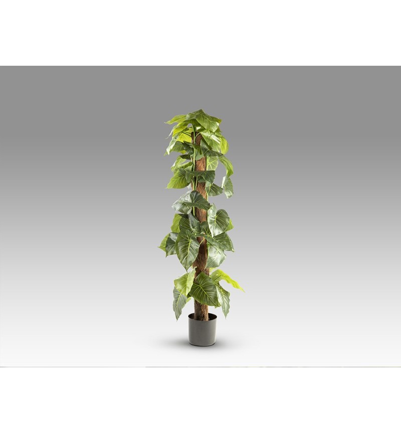 Taro SCHULLER VALENCIA artificial plant H150
