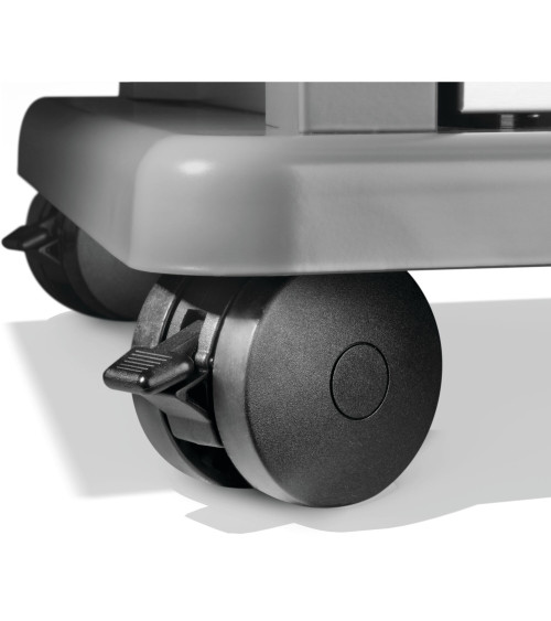 Barbecue NAPOLEON Rogue PRO-S 425 RSIB | Bhome