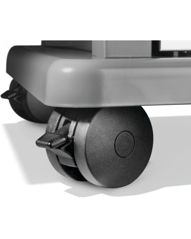 Barbecue NAPOLEON Rogue PRO-S 425 RSIB | Bhome
