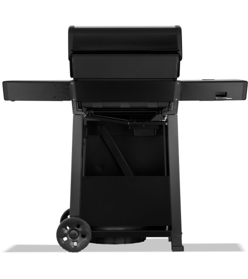 Barbecue NAPOLEON Freestyle PRO 365 | Bhome