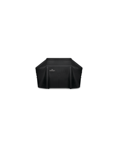 Barbecue NAPOLEON Freestyle PRO 365 | Bhome