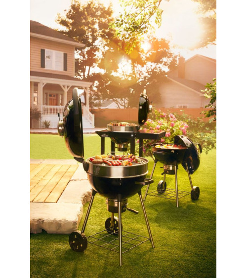 Barbecue a carbonella NAPOLEON PRO22K-LEG | Bhome