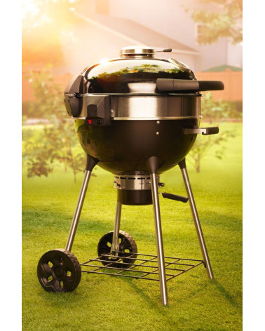 Barbecue a carbonella NAPOLEON PRO22K-LEG | Bhome