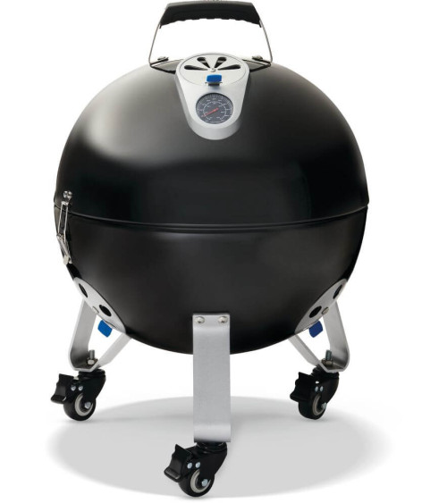 Affumicatore NAPOLEON Apollo 18 a carbonella | Bhome