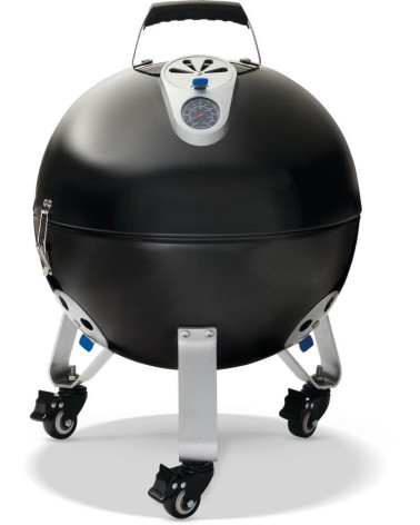 Affumicatore NAPOLEON Apollo 18 a carbonella | Bhome