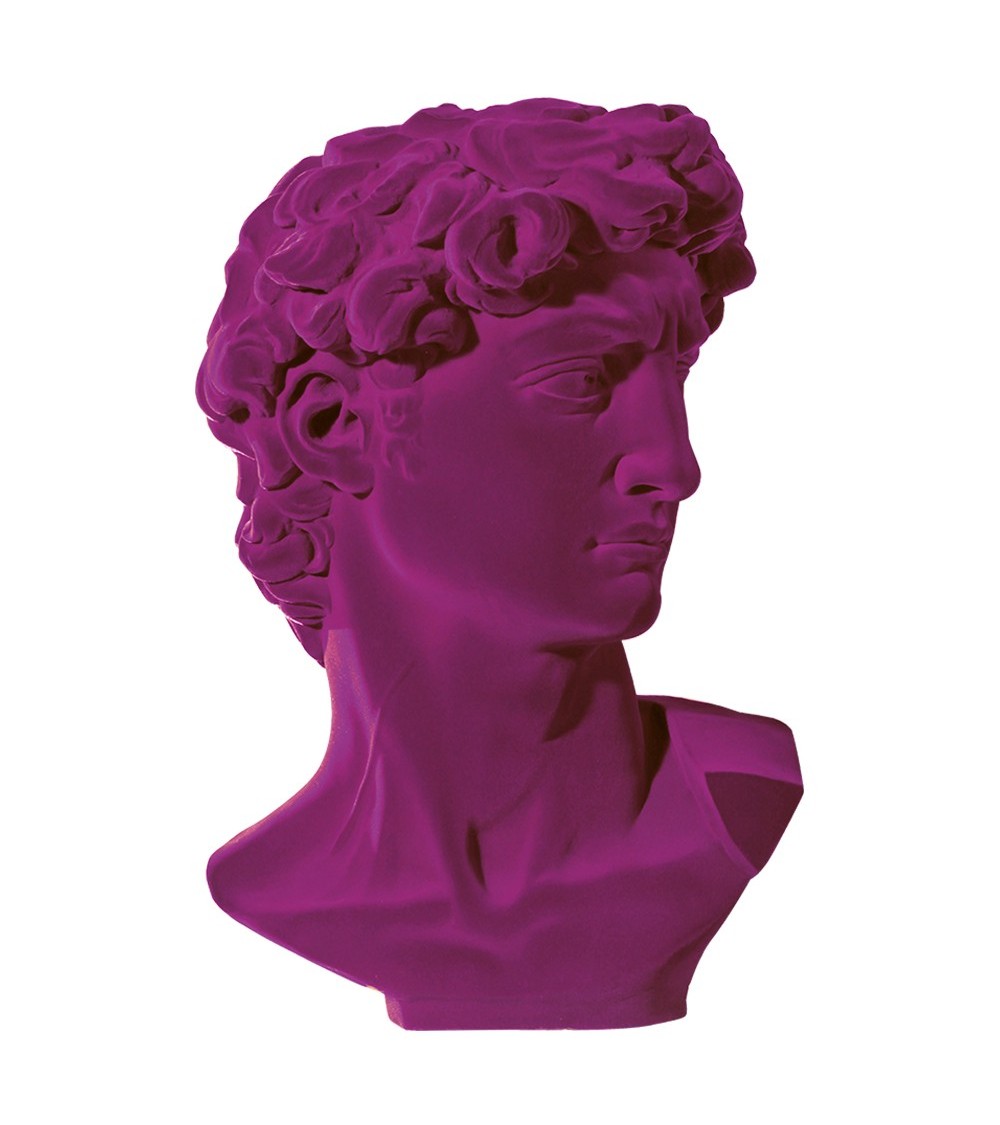 Scultura David Velvet Adriani e Rossi | Bhome by Arredi Barbàra