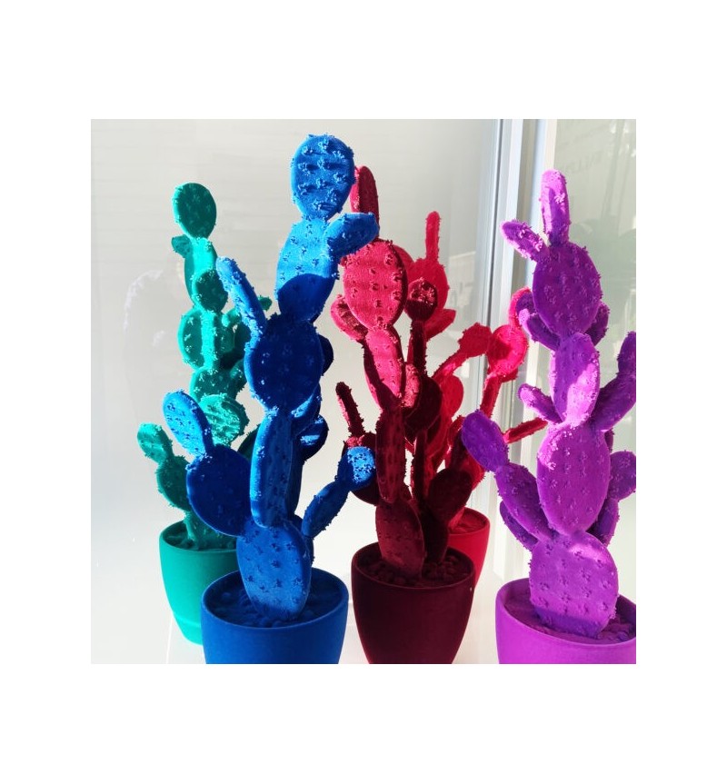 Fico d’India Velvet Adriani e Rossi | Bhome by Arredi Barbàra