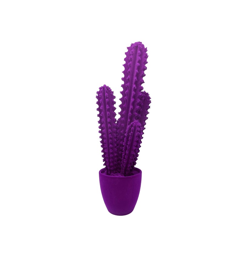 Pickly Cactus Velvet Adriani e Rossi | Bhome by Arredi Barbàra