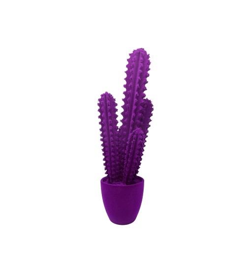 Pickly Cactus Velvet Adriani e Rossi | Bhome by Arredi Barbàra
