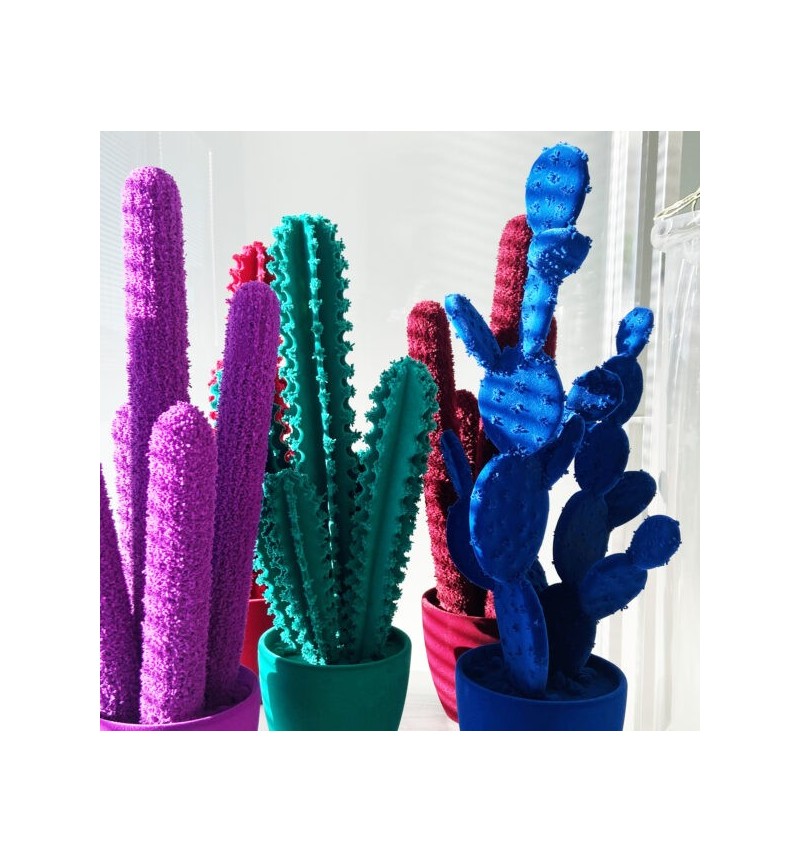 Pickly Cactus Velvet Adriani e Rossi | Bhome by Arredi Barbàra