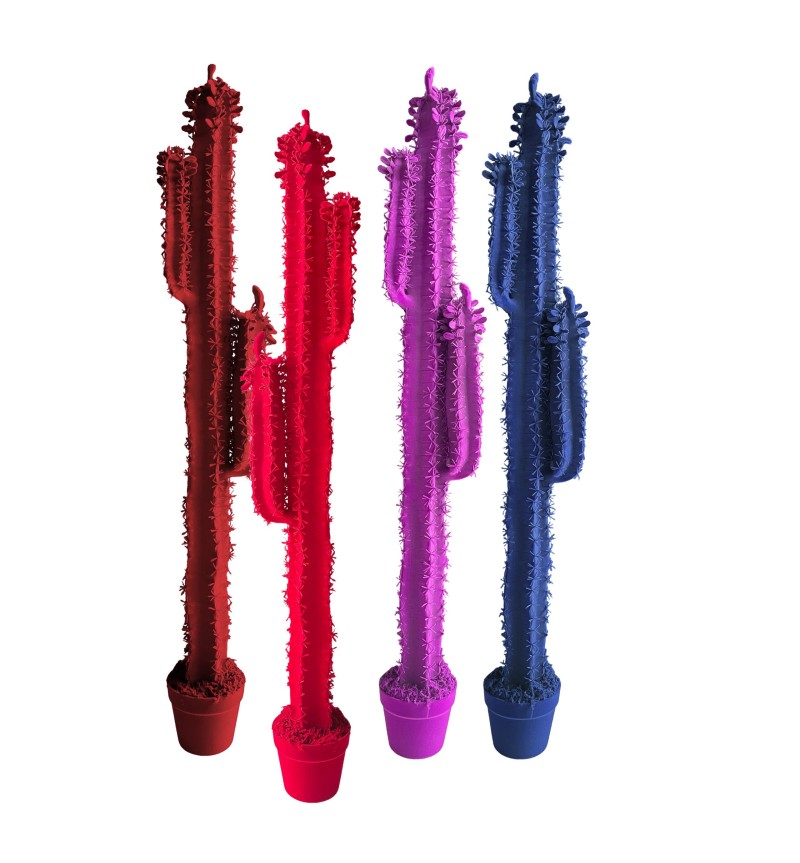 Cactus Cereus Velvet Adriani e Rossi | Bhome by Arredi Barbàra