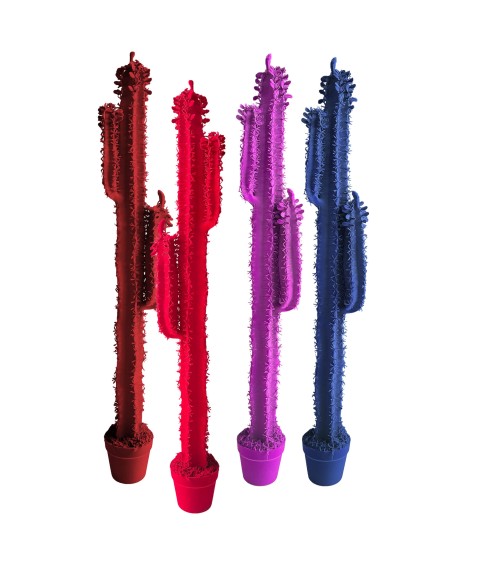 Cactus Cereus Velvet Adriani e Rossi | Bhome by Arredi Barbàra