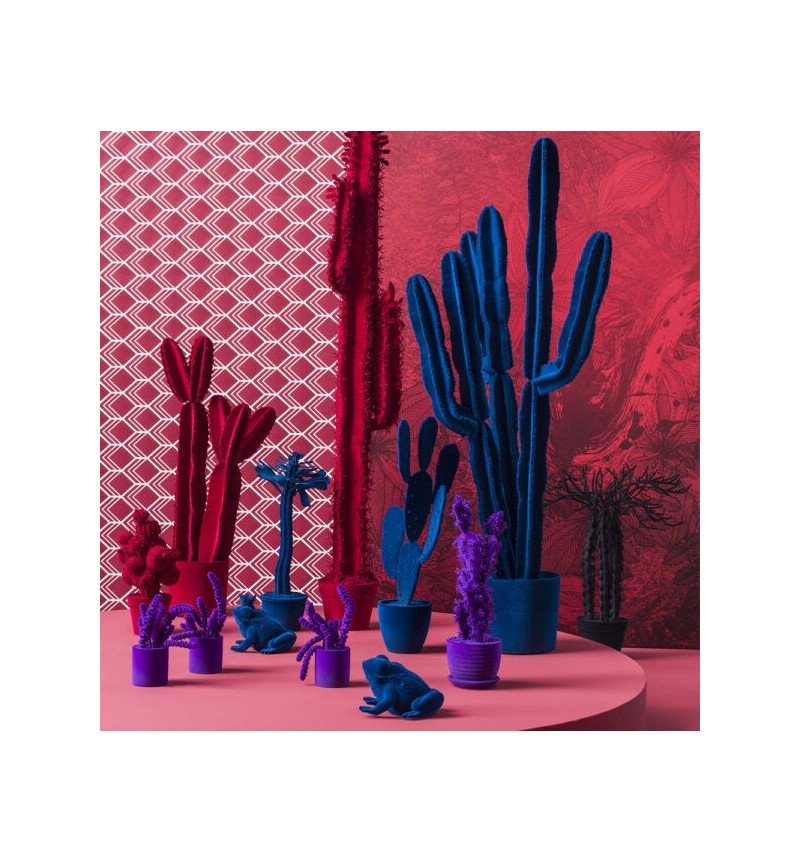 Cactus Cereus Velvet Adriani e Rossi | Bhome by Arredi Barbàra