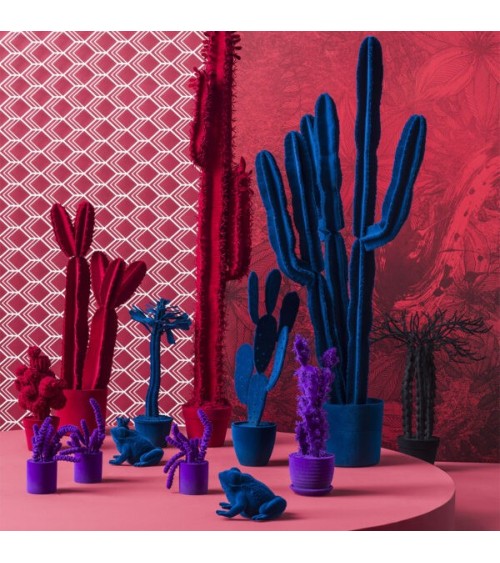 Cactus Cereus Velvet Adriani e Rossi | Bhome by Arredi Barbàra