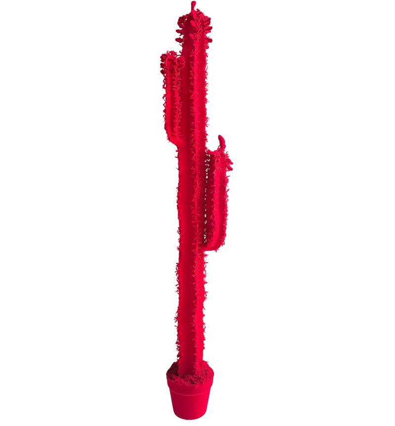 Cactus Cereus Velvet Adriani e Rossi | Bhome by Arredi Barbàra