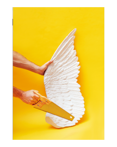 Scultura decorativa "Memorabilia Mvsevm Wing Destra" | BHOME by Arredi Barbàra