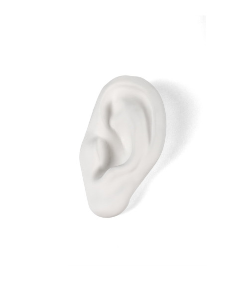 Scultura decorativa "Memorabilia Mvsevm Ear" | BHOME by Arredi Barbàra