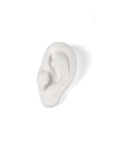 Scultura decorativa "Memorabilia Mvsevm Ear" | BHOME by Arredi Barbàra