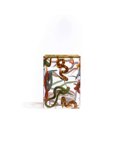 Vaso "Snakes" | BHOME by Arredi Barbàra