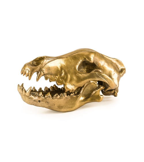 Decorative sculpture"Wunderkrammer Wolf Skull"metal –SELETTI | BHOME by Arredi Barbàra