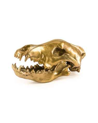 Scultura decorativa "Wunderkrammer Wolf Skull" | BHOME by Arredi Barbàra