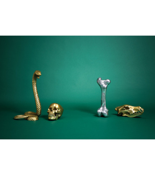 Scultura decorativa "Wunderkrammer Wolf Skull" | BHOME by Arredi Barbàra