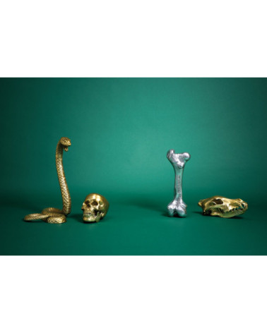 Scultura decorativa "Wunderkrammer Wolf Skull" | BHOME by Arredi Barbàra