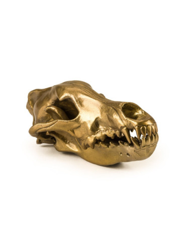 Scultura decorativa "Wunderkrammer Wolf Skull" | BHOME by Arredi Barbàra