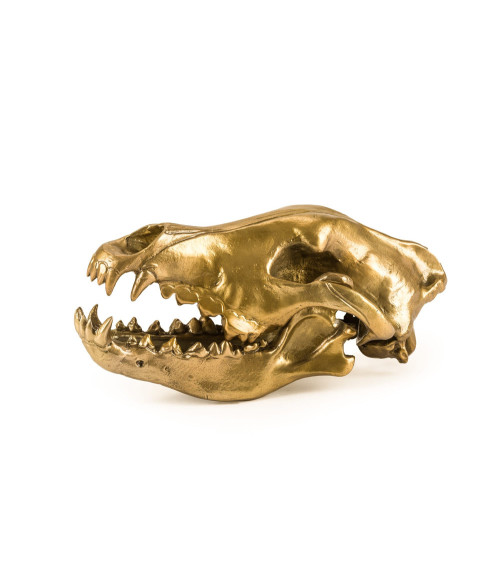 Scultura decorativa "Wunderkrammer Wolf Skull" | BHOME by Arredi Barbàra