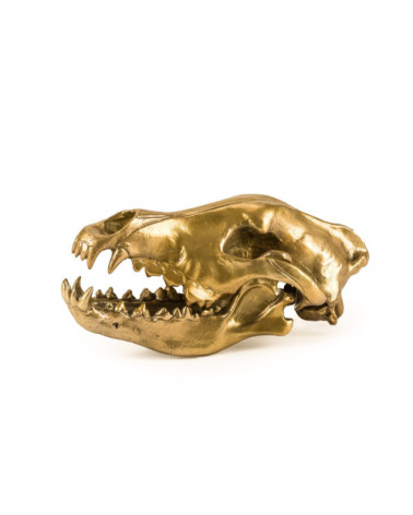Scultura decorativa "Wunderkrammer Wolf Skull" | BHOME by Arredi Barbàra