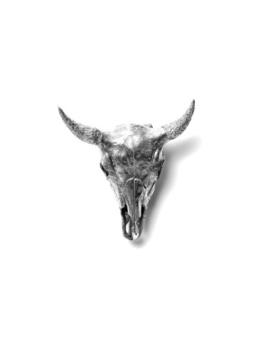 Dekorative Skulptur"Wunderkammer Bison Skull"Metall —SELETTI | BHOME by Arredi Barbàra