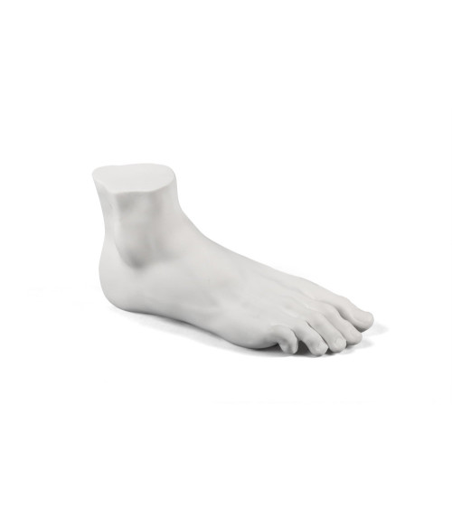 Decorative sculpture"Memorabilia Mvsevm Male Foot"cm 36 x 11 h. 21 –SELETTI | BHOME by Arredi Barbàra