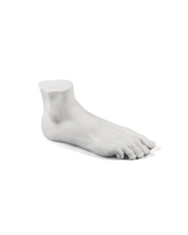 Dekorative Skulptur"Memorabilia Mvsevm Male Foot"cm 36 x 11 h. 21 –SELETTI | BHOME by Arredi Barbàra