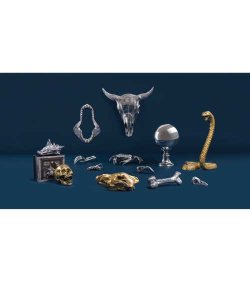 Dekorative Skulptur"Wunderkammer Globe"Metall —SELETTI | BHOME by Arredi Barbàra