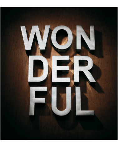 Wanddekoration"METALVETICA - U"Aluminium —SELETTI | BHOME by Arredi Barbàra