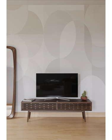Mobile TV Radio in legno massello | WEWOOD