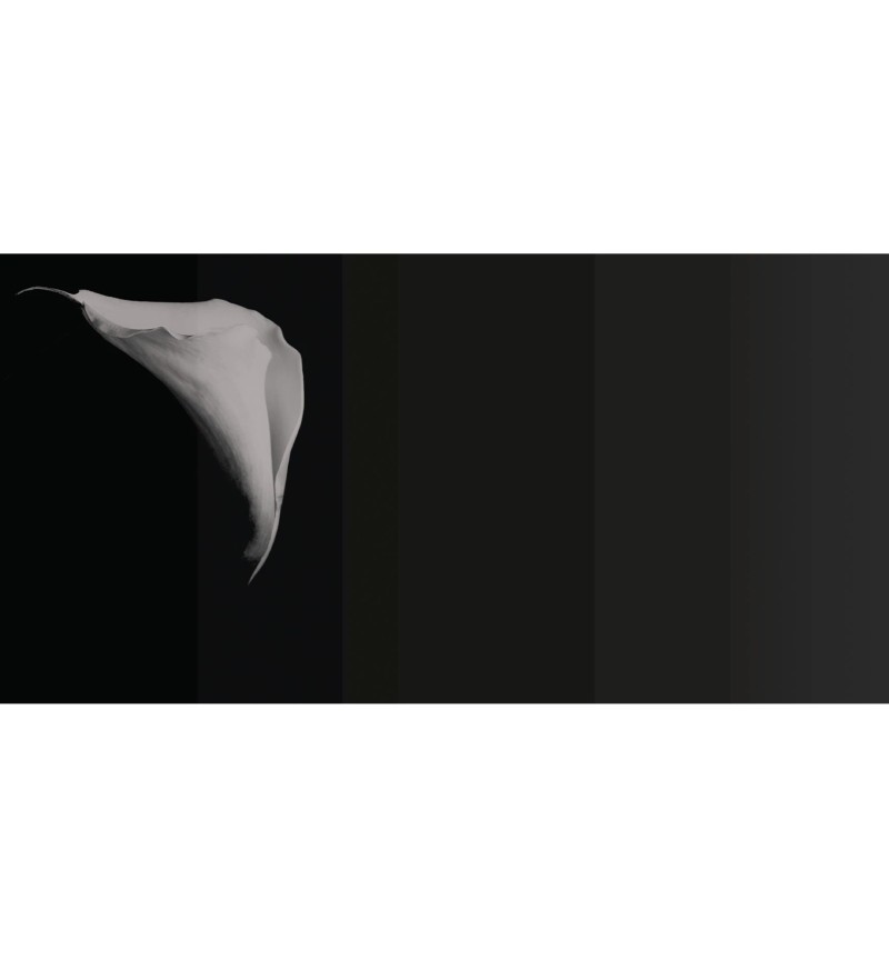 Papel pintado “Calla” – TONIN CASA | BHOME by Arredi Barbàra