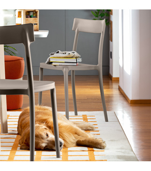 Sedia ARGO CB1523 CONNUBIA Impilabile | BHOME