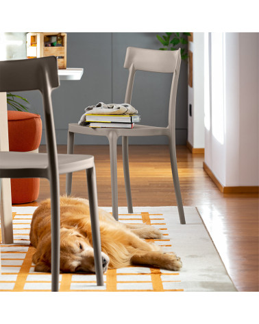 Sedia ARGO CB1523 CONNUBIA Impilabile | BHOME