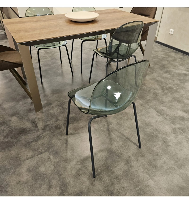 Sedia Academy CONNUBIA Trasparente | Bhome by Arredi Barbàra