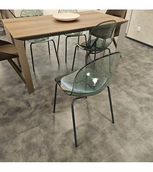 Sedia Academy CONNUBIA Trasparente | Bhome by Arredi Barbàra