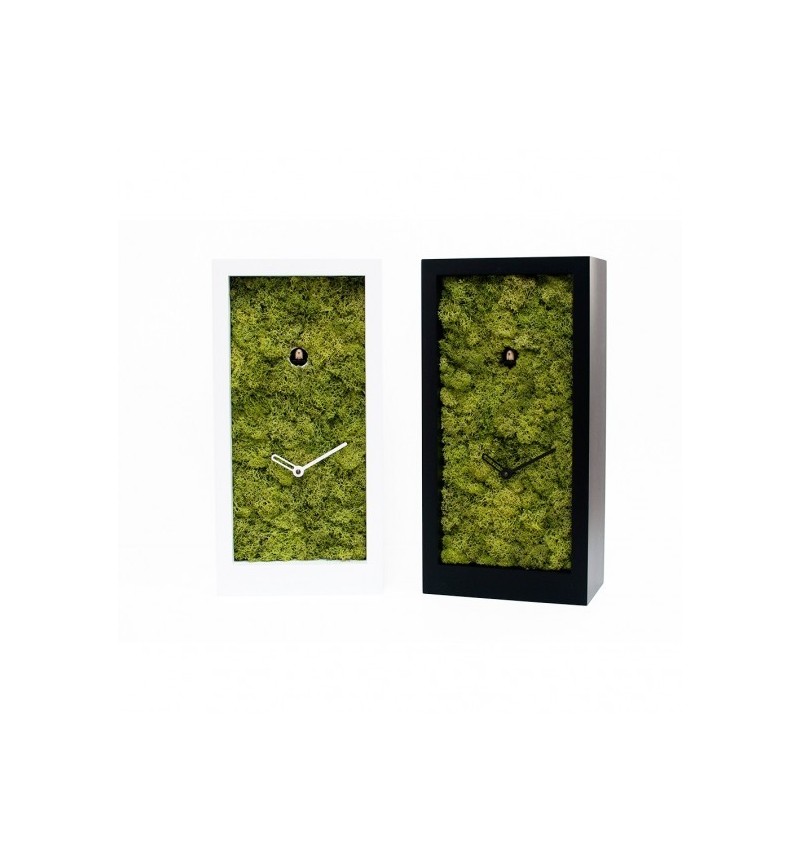 Orologio Amazon PROGETTI | BHOME Arredi Barbàra