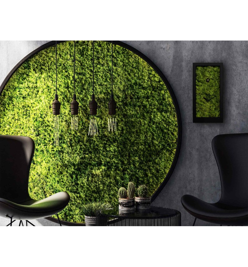 Orologio Amazon PROGETTI | BHOME Arredi Barbàra