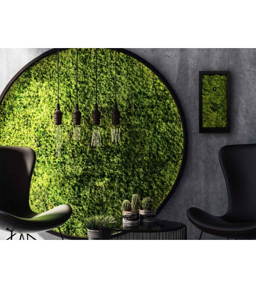 Orologio Amazon PROGETTI | BHOME Arredi Barbàra