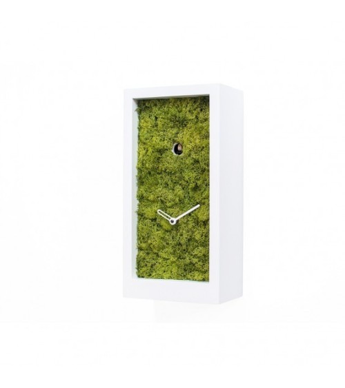 Orologio Amazon PROGETTI | BHOME Arredi Barbàra